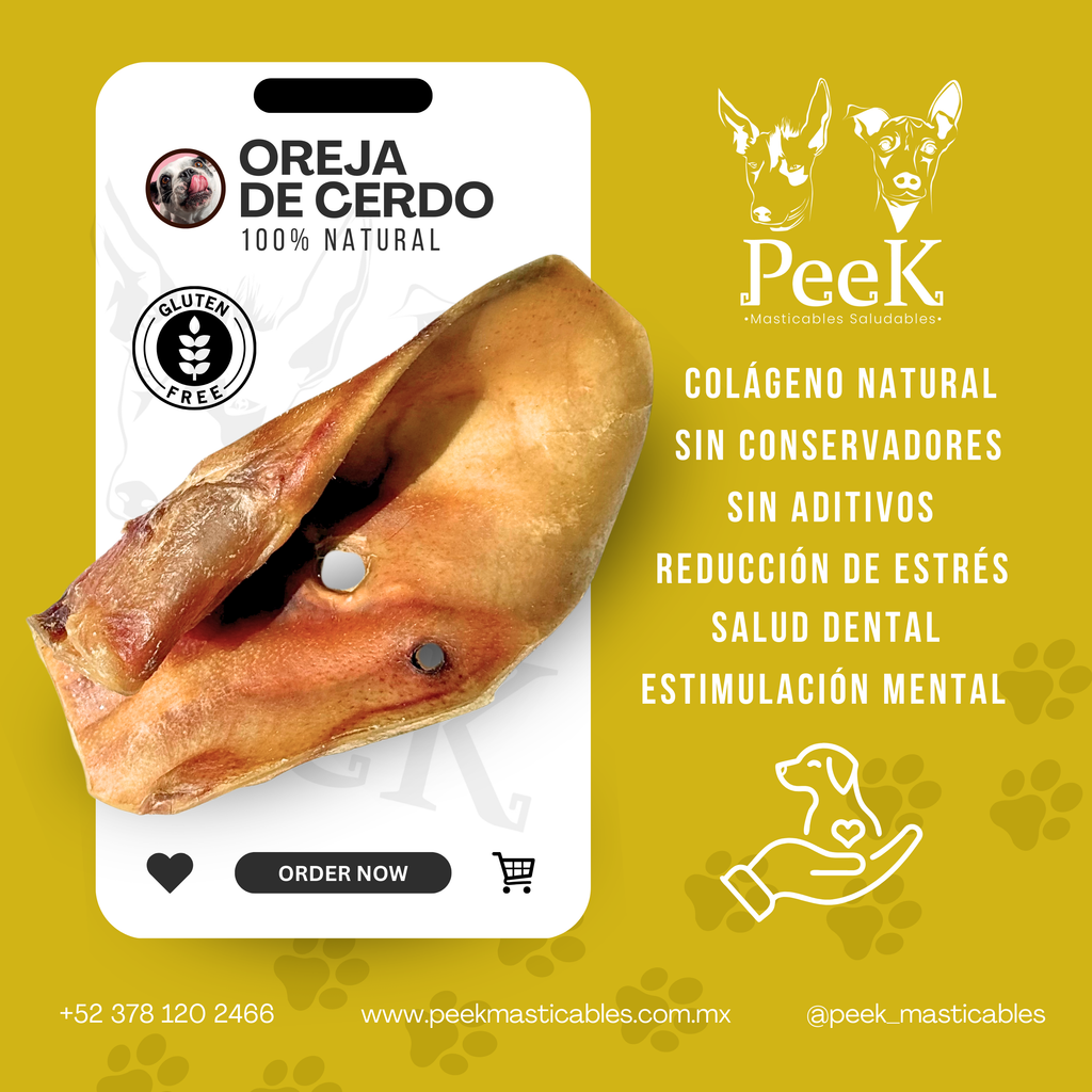OREJA DE CERDO